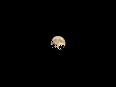月球的低角度摄影

